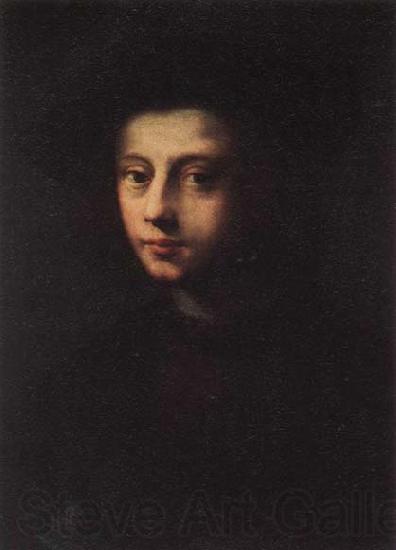 PULIGO, Domenico Portrait of Pietro Carnesecchi Norge oil painting art
